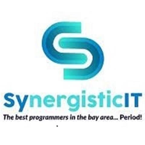 Synergisticitbestcodingbootcam image 1