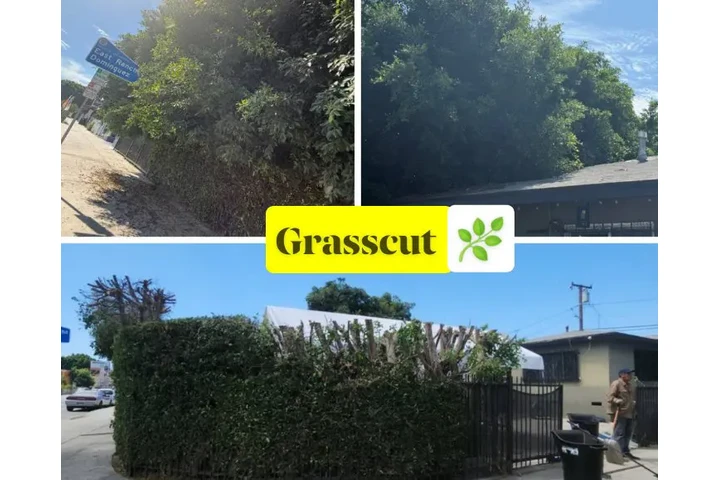 Jardinero 🏡 limpieza image 3
