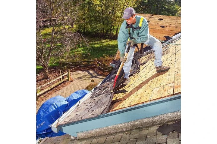 If you need help image 1