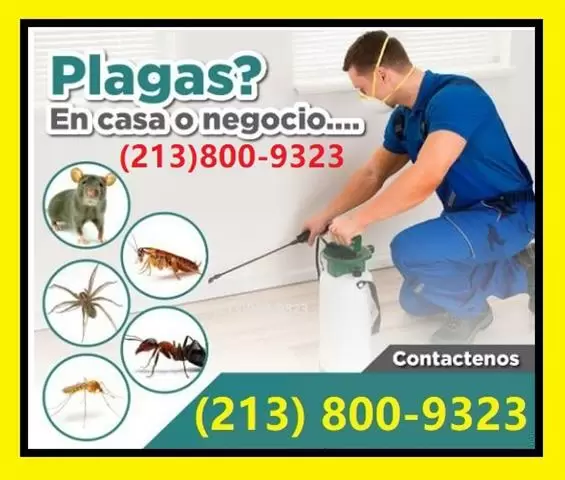 FUMIGACIONES COMERCIALES 24/7 image 1