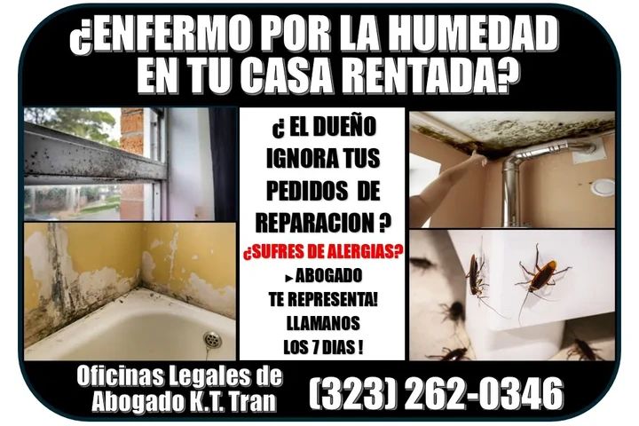 🔥ENFERMO?LA CASA CON HUMEDAD image 4