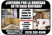 🔥ENFERMO?LA CASA CON HUMEDAD thumbnail