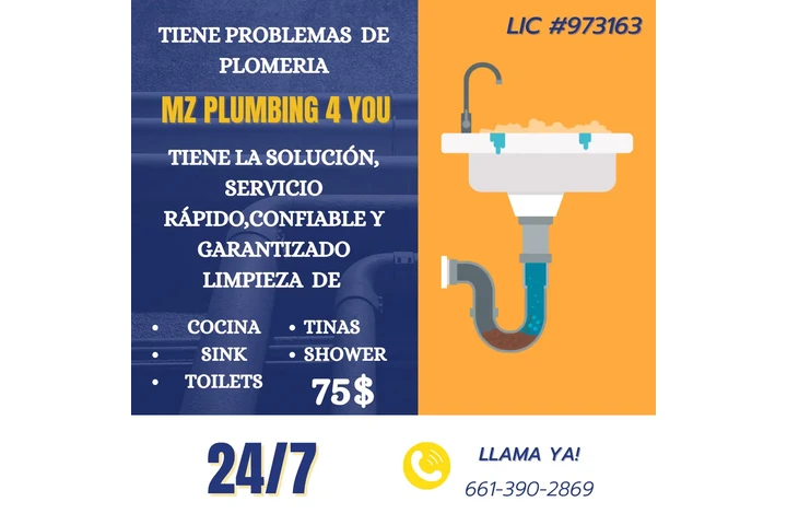 Servicios de Plomeria image 1