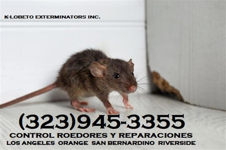 "PROFESSIONAL RODENT SERVICES" image 2