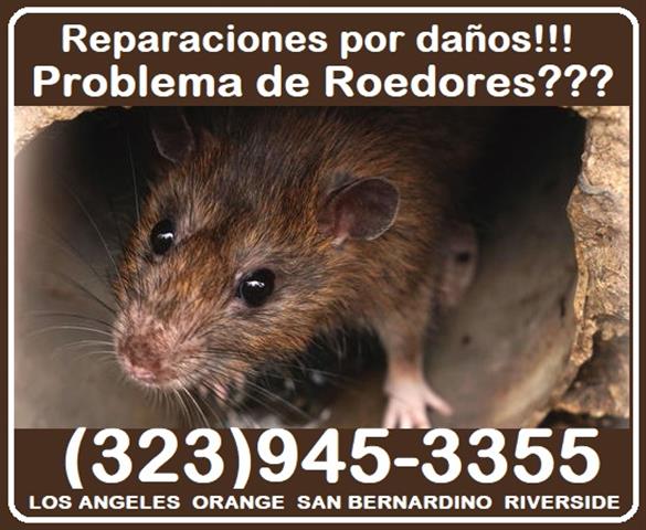 RODENTS PEST CONTROL SERVICES image 9