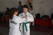 Taekwondo - Villa Allende thumbnail