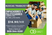 Empacadores y Paletizadores