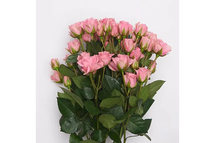 Rosas Premium y Arreglos image 1