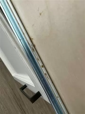 Soul eco friendly prof Cleaner image 2