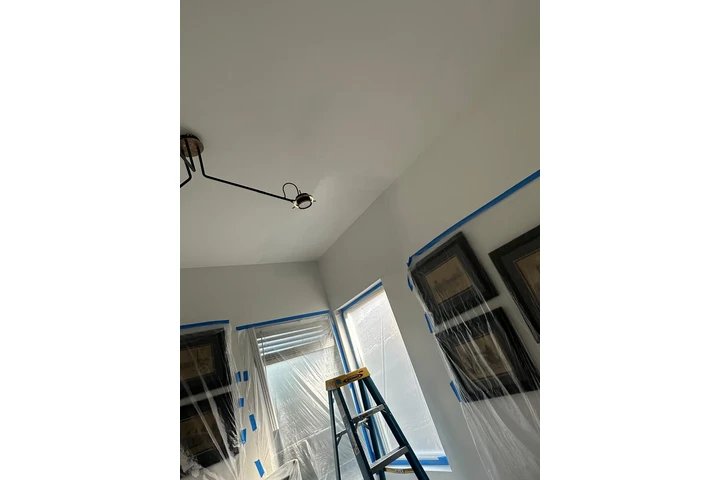 Pintura image 5