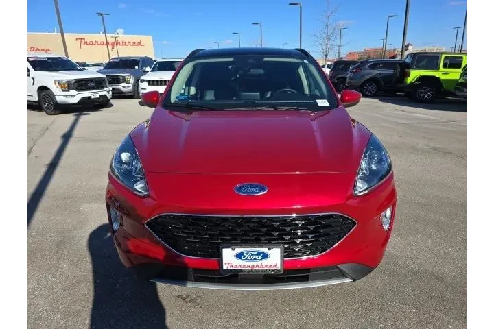 $22500 : Ford Escape 2020 AWD SEL 4dr image 8