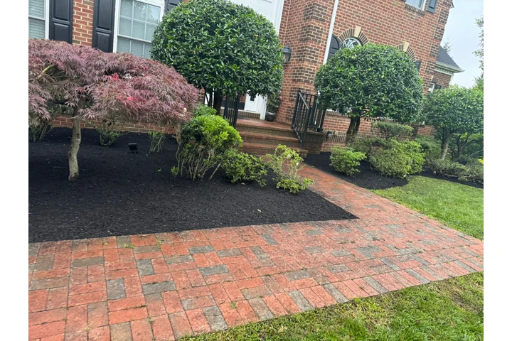 Hidalgo Landscaping Services image 5