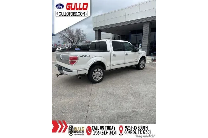 $14991 : Ford F-150 2013 4x4 Platinum image 5
