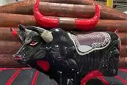 Francisco renta toro mecánico thumbnail