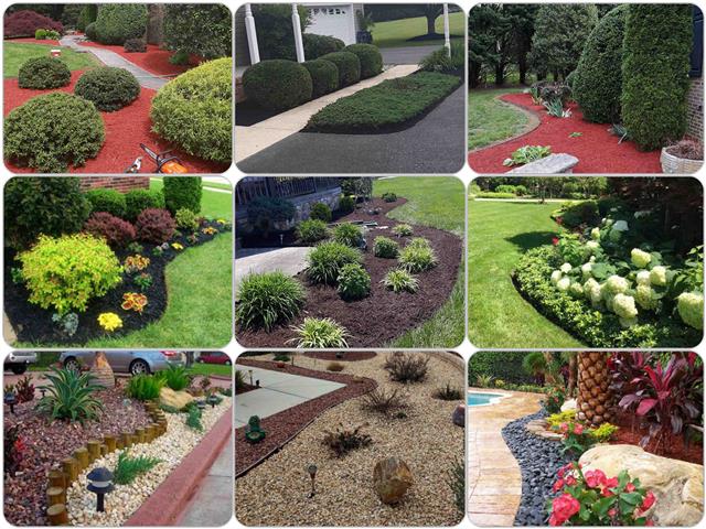 Perez Landscaping Services image 3