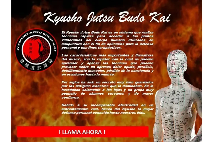 Boxeo, karate no competencia image 4