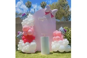 🎉 Diana Borquez Decor🎉 thumbnail