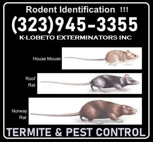 PEST CONTROL (323)945-3355 image 5