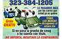 $$ POR SU CARRO AHY VAMOS $$ en Orange County
