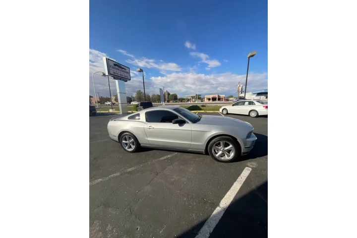2010 Mustang image 3