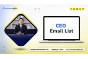 CEO Email List en New York