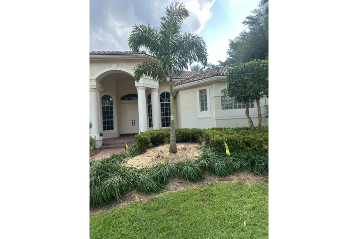 Perfect Trees Services Corp image 3