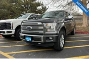 Ford F-150 2015 4x4 Platinum
