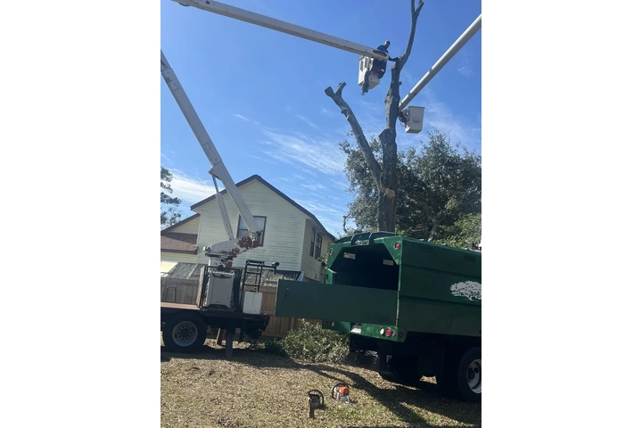Solution Tree Services LLC image 3