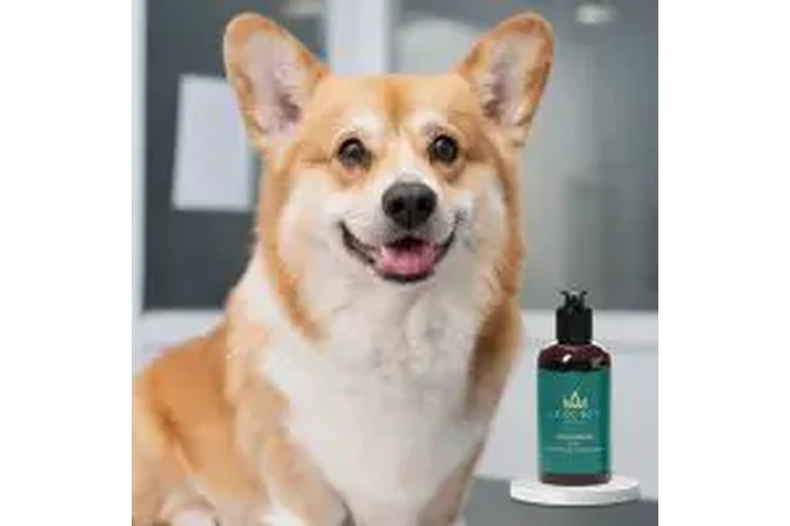 Luxe Pet Australia image 3