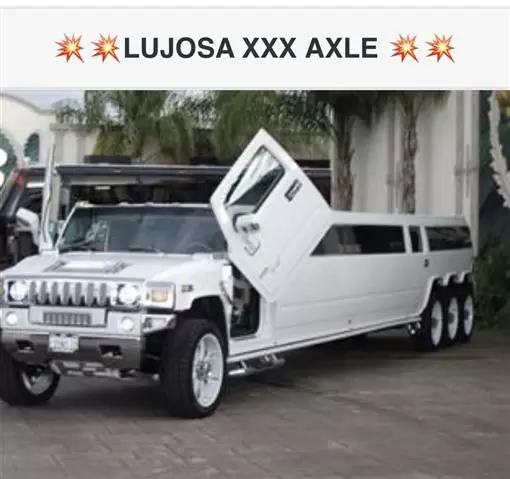 💥YA RSERVASTES?? LIMOS BBL 💥 image 2