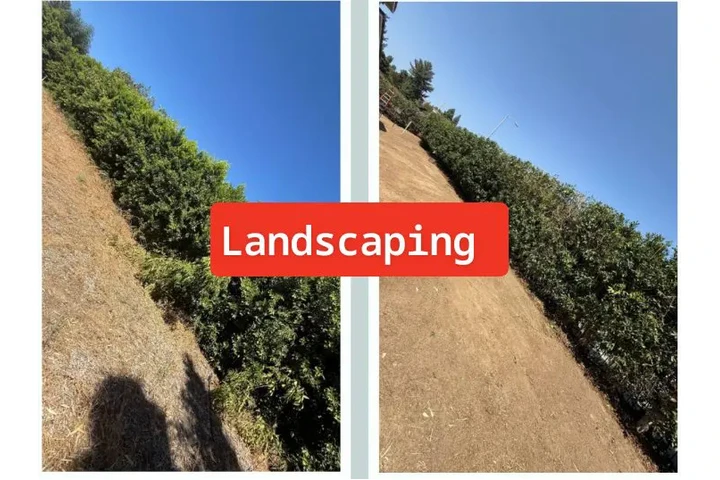 Corte de pasto 🏡$35 image 2