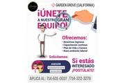 ESTAMOS CONTRATANDO en Orange County