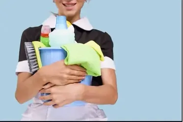 TRABAJO DOMESTICO image 2