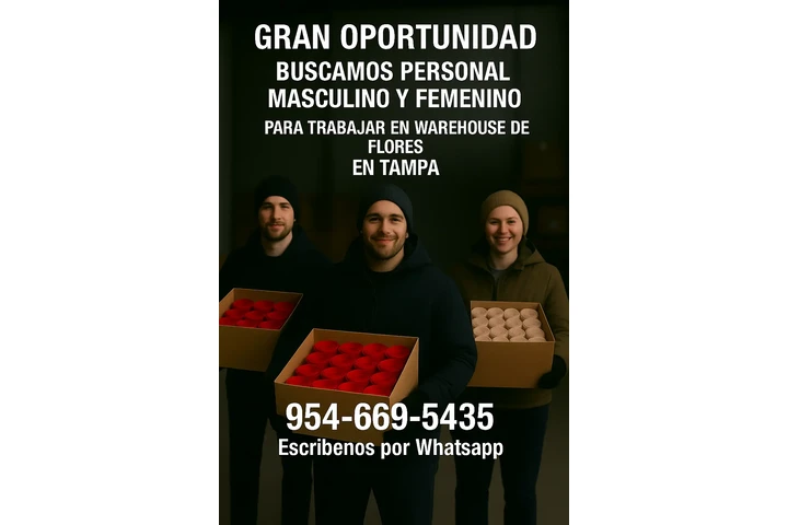 Trabajo disponible 💯 image 1