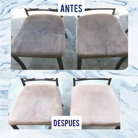 Emiliano's carpet Cleaning image 7