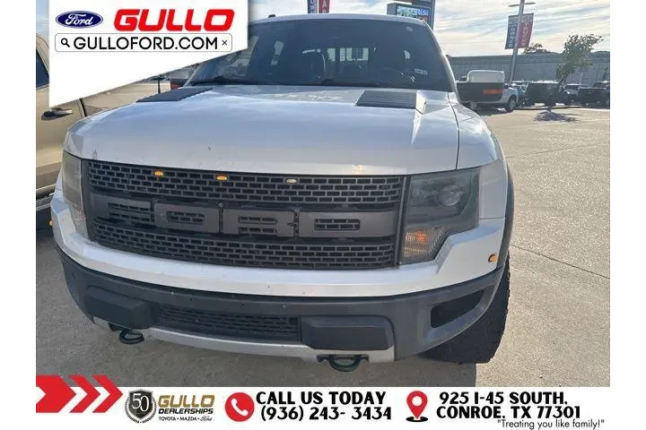 $21991 : Ford F-150 2014 4x4 SVT Rapt image 2