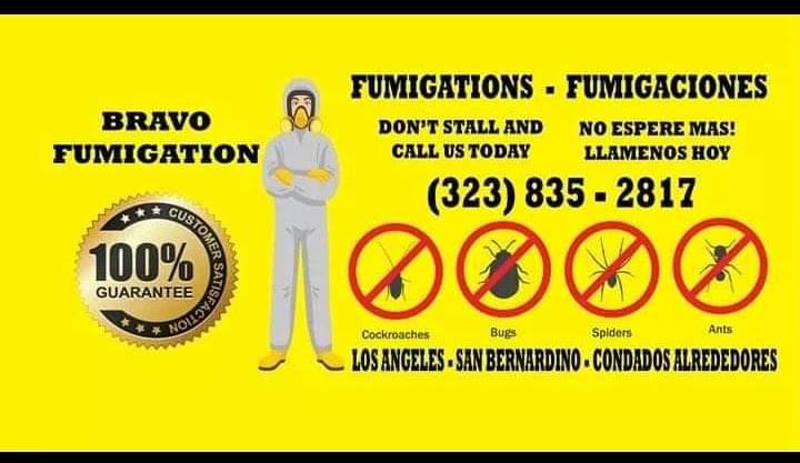 Bravo Fumigation image 1