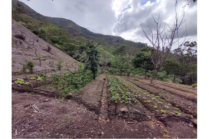 $299444 : Salitral Costa Rica Land Sale image 6