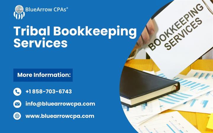 Tribal Bookkeeping Services image 1