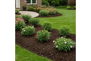 LANDSCAPING AND LANW CARE. en Tampa