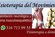 Fisioterapia del Movimiento en Bogota