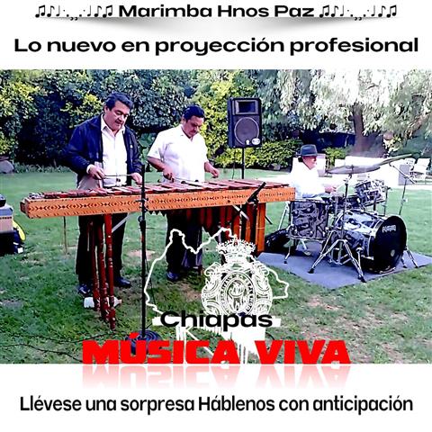 Marimba Hnos Paz image 1