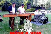 Marimba Hnos Paz en Queretaro