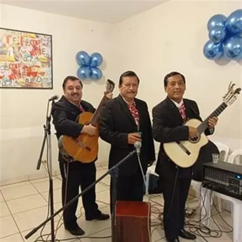 Boleros de Los Panhos image 3