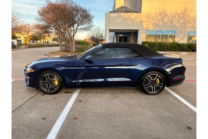 $15490 : 2019 Mustang EcoBoost Premium image 5
