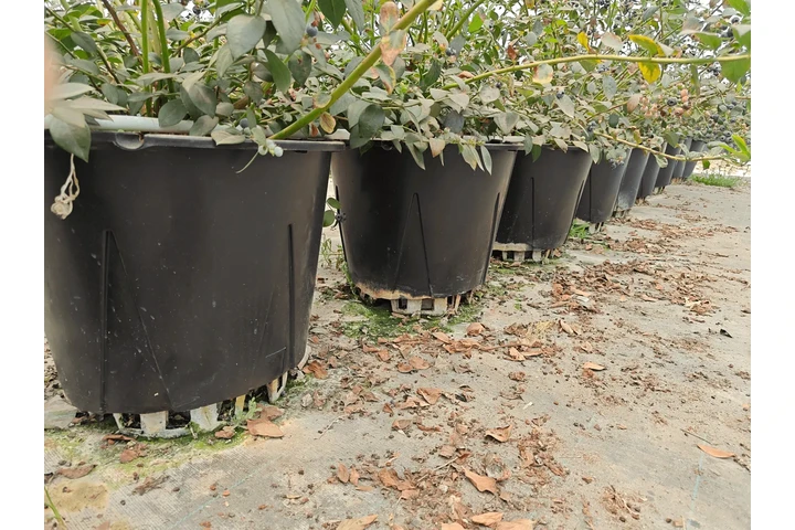 $2000 : Naturehydro Macetas Plásticas image 6