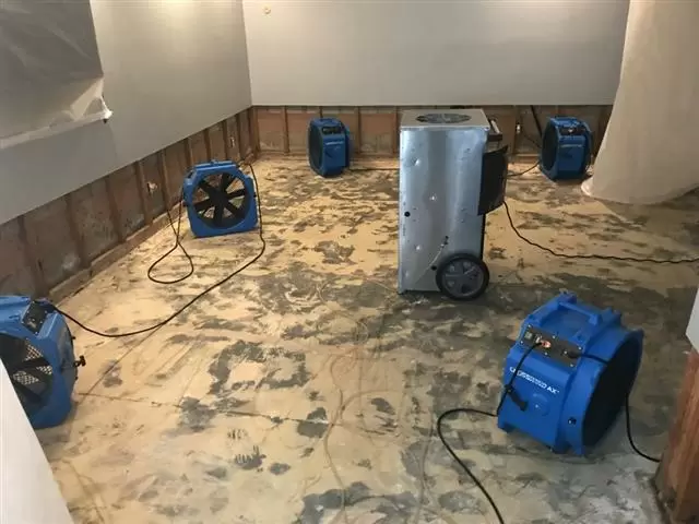 Home Restorations image 1
