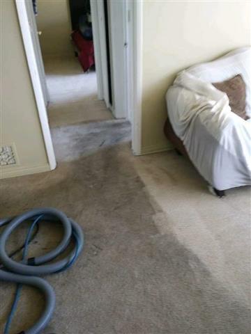 Carpet cleaning 818-721-7593 ☎ image 5