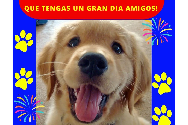 PLANOS BARATOS image 10