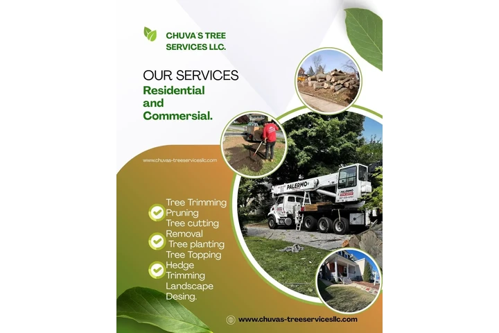 Tree service image 1